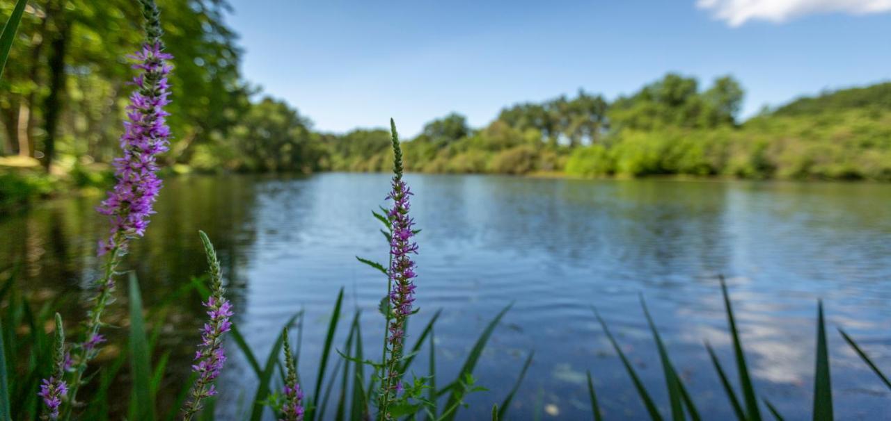 Camping L'Etang D'Ardy *** Saint-Paul-lès-Dax Екстериор снимка
