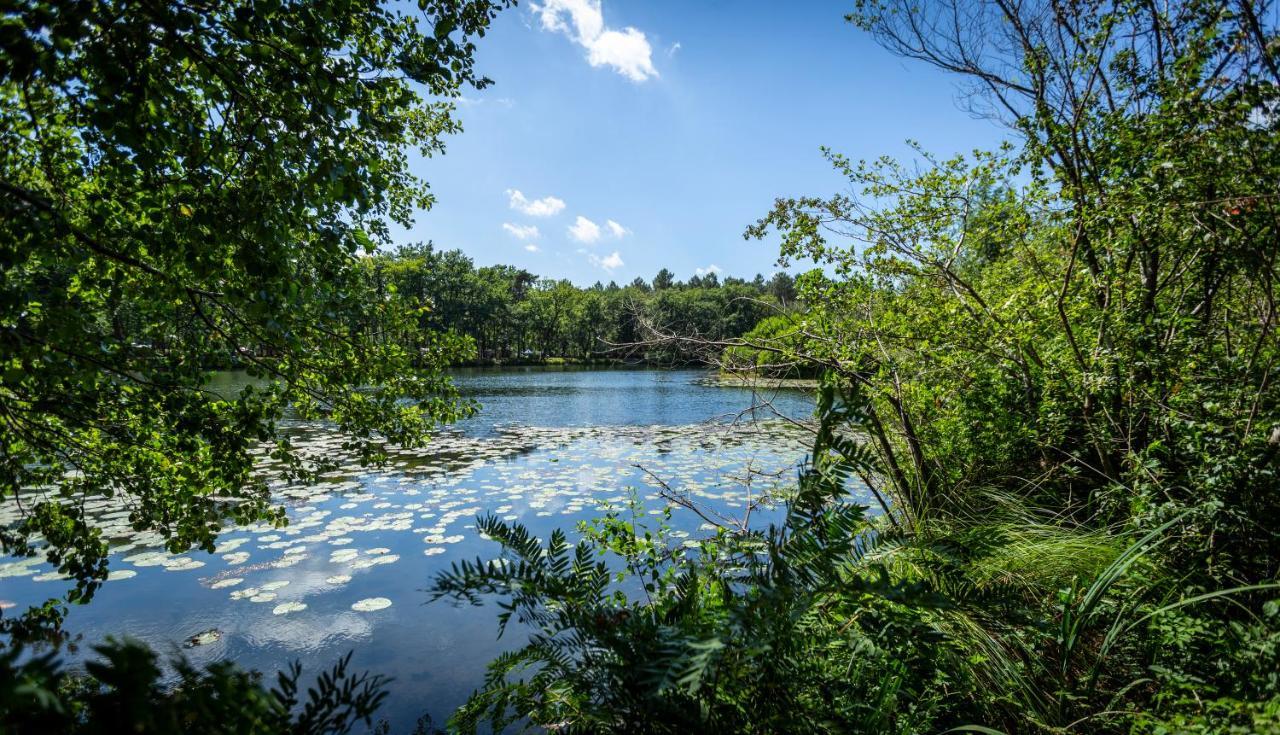 Camping L'Etang D'Ardy *** Saint-Paul-lès-Dax Екстериор снимка